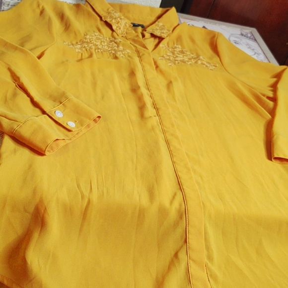 Beautiful Sheer Sequin Hearts Dillard's Blouse - Picture 5 of 6